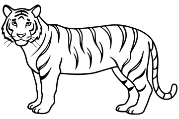 Minimalist Tiger Vector