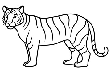 Minimalist Tiger Vector