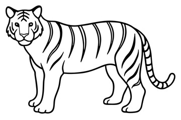Fototapeta premium Minimalist Tiger Vector