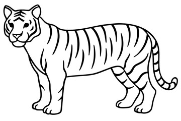 Minimalist Tiger Vector