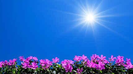 Naklejka premium Pink flowers bloom under bright sun against a clear blue sky; perfect for spring or summer themes