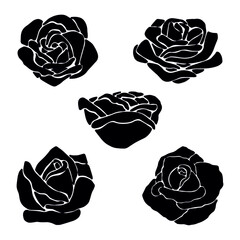 Floral background. Rose silhouette.
