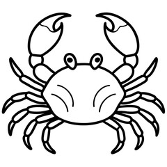 Modern Crab Illustration