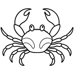 Modern Crab Illustration