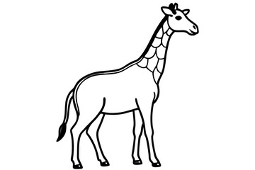 Modern Giraffe Illustration