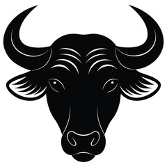 bull head isolated on white