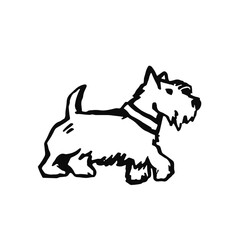 white terrier dog outline illustration hand made
