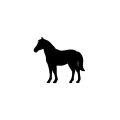 Fototapeta premium Elegant black silhouette of a standing horse