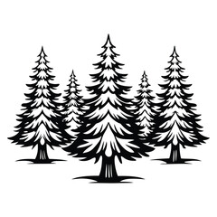 Obraz premium Monochrome Silhouette Evergreen Trees in Forest, Pine Trees, Fir Trees, Coniferous