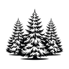 Evergreen Trees Silhouette, Pine Forest, Conifer, Nature, Woodland, Monochrome, Black