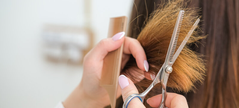 Banner copyspace Hairdresser hands trimming the ends of long hair with scissors and comb, salon work, haircare treatment, beauty industry, grooming service, hair cut professional