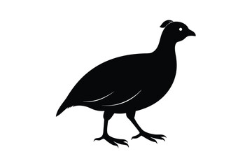 Obraz premium Quail Silhouette Simple Black and White Bird Vector