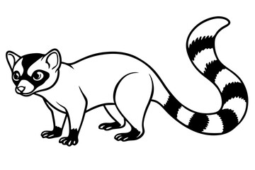 Modern Ringtail Sketch
