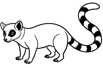 Modern Ringtail Sketch