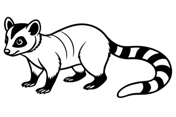 Modern Ringtail Sketch