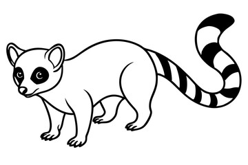 Modern Ringtail Sketch