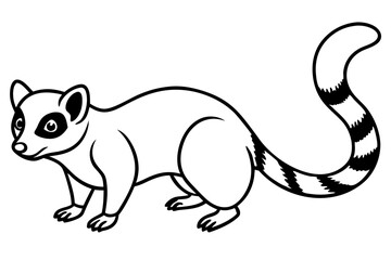 Modern Ringtail Sketch