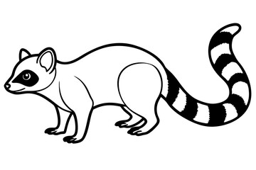 Modern Ringtail Sketch