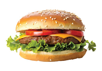 A Simple Hamburger on White