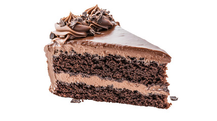 Delicious Chocolate Sponge Cake Slice, Tempting Dessert Photography