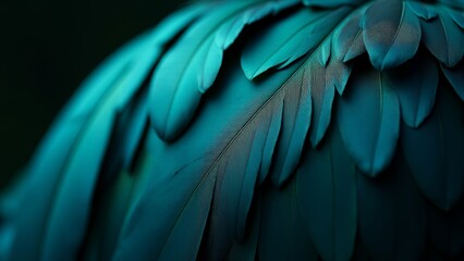 Obraz premium Abstract Turquoise Feathers Detail, Bird Plumage