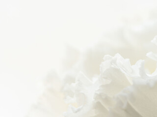 ユーストマの白い花のマクロ撮影66