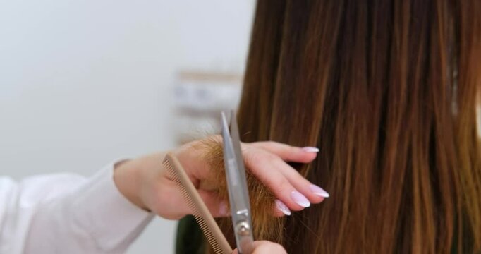 Hairdresser hands trimming the ends of long hair with scissors and comb, salon work, haircare treatment, beauty industry, grooming service, hair cut professional