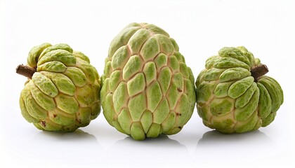 Obraz premium sugar apple or srikaya isolated on white background