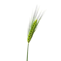 Fototapeta premium Ethereal Emerald Grain: A striking image of a single, vibrant green grain, its delicate details highlighted against a clean backdrop, symbolizing growth and vitality.