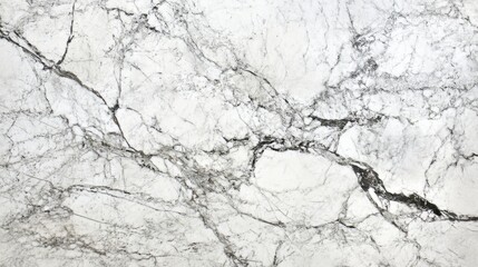 Obraz premium Smooth white marble texture with gray veins.