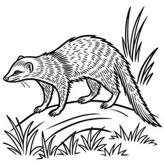 Stylized Mongoose Walking Black and White. Isolated Creature amidst Sparse Foliage