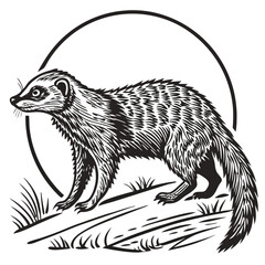 Mongoose Silhouette Walking, Round Frame, Grass, Detailed Black and White Striped Coat