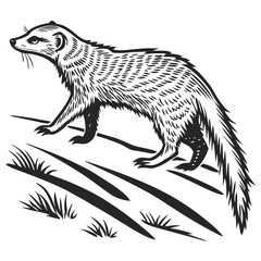 Mongoose Illustration, Detailed Engraving Style, Monochrome Wildlife Art, Walking Silhouette