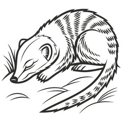 Monochrome Cartoon Mongoose Curled Up Asleep on Grass, Wildlife Drawing