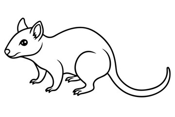 Quoll Silhouette Design