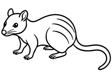 Quoll Silhouette Design