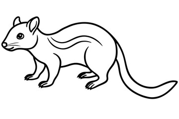 Quoll Silhouette Design