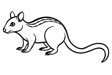 Quoll Silhouette Design