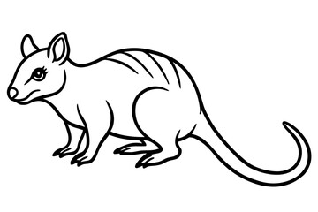 Quoll Silhouette Design