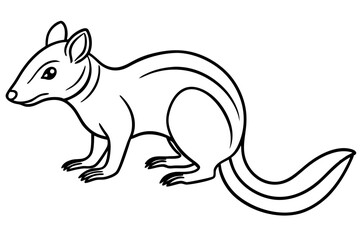 Quoll Silhouette Design