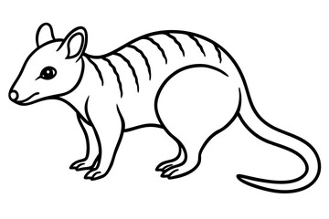 Quoll Silhouette Design