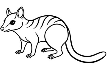 Quoll Silhouette Design