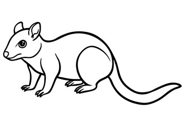 Quoll Silhouette Design