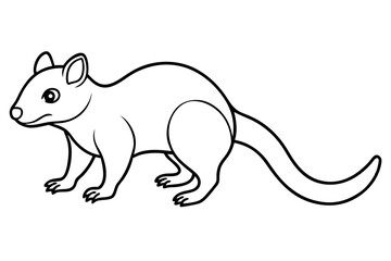 Quoll Silhouette Design