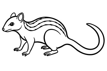 Quoll Silhouette Design