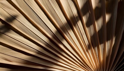 Captivating shadows of fan-like patterns indoor setting close-up photography natural light abstract concept