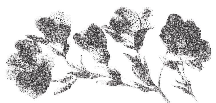 Detailed stipple halftone print of a delicate flower arrangement showcasing artistic texture and intricate design