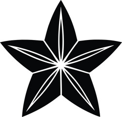 Star icon black silhouette vector illustration on transparent background
