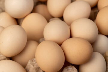 eggs close up, large chicken eggs during packaging