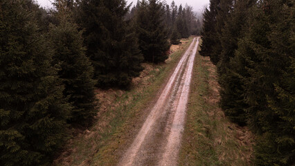 Forest road during rain